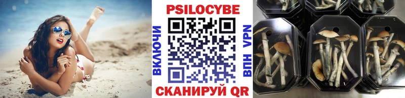 Псилоцибиновые грибы мухоморы  Тавда 