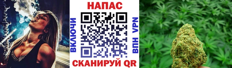 Каннабис индика  Тавда 